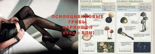 a pvp Белоозёрский